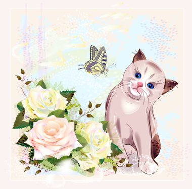 tebrik kartı ile yavru kedi, kelebek ve güller