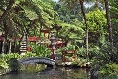 The park on the Madeira - Monte Palace Tropical Garden clipart