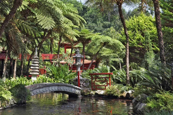 The park on the Madeira - Monte Palace Tropical Garden — Stock Photo, Image