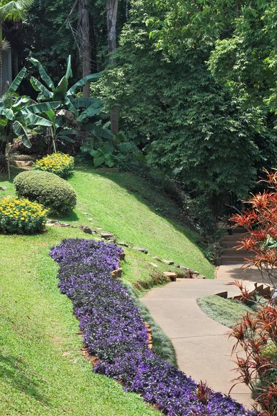 Tropische park en bloem bedden — Stockfoto