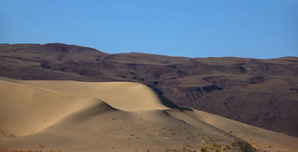 The dune Eureka at dawn — Stock Photo, Image