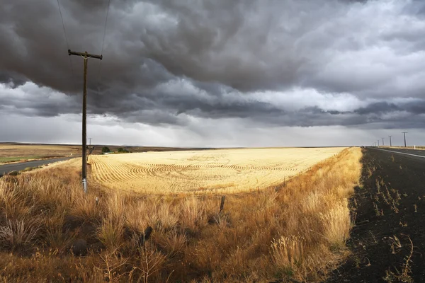 토양 시골도 및 전기 메인의 열 — 스톡 사진