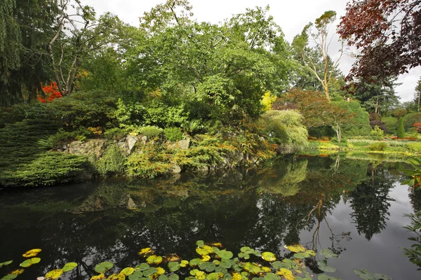 Tichý rybník s podzim se žluté listy — Stock fotografie