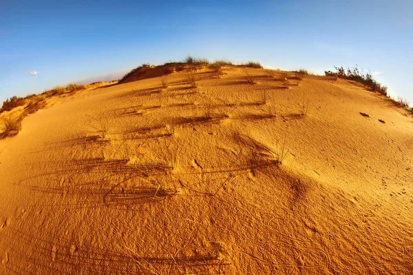 Sandy dunes at Mediterranean sea on a sunset — Stock Photo, Image