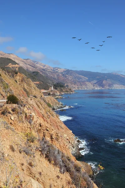 Voo triangular de pelicanos cinzentos sobre o oceano Pacífico — Fotografia de Stock
