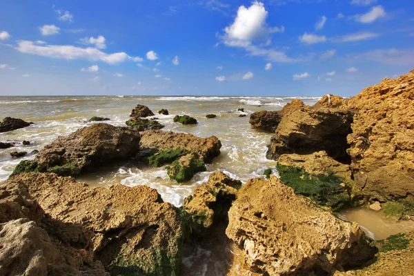 Cerejas costeiras — Fotografia de Stock