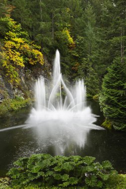 Sparkling jets of a fountain