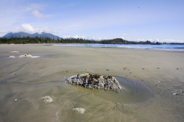 büyük Kumsalı'nın kıyısındaki vancouver Adası