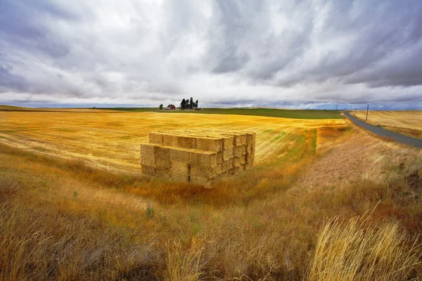 The big haystack on an autumn floor after harvesting. — Stock Photo, Image