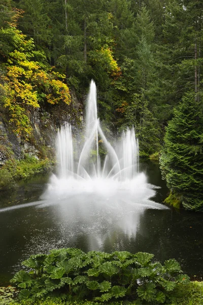 噴水の輝くジェット — ストック写真