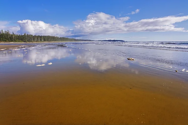 Пляж заполнен водой — стоковое фото