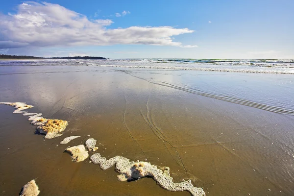 Wide sandy beach and sea foam — Stock Photo, Image