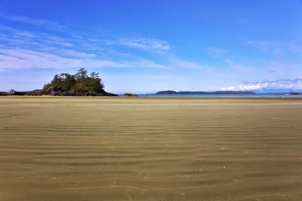 Pequena ilha perto de praia na grande ilha Vancouver — Fotografia de Stock