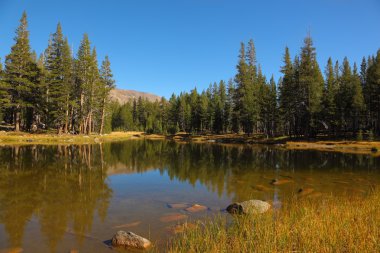 sonbahar sabahı Yellowstone Parkı