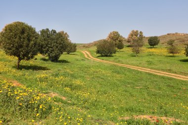 İsrail. öğle saatlerinde Mart