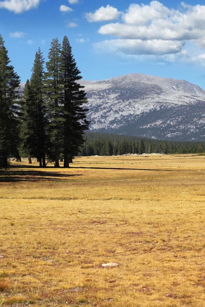 The Yosemite Park in the autumn — Stock Photo, Image