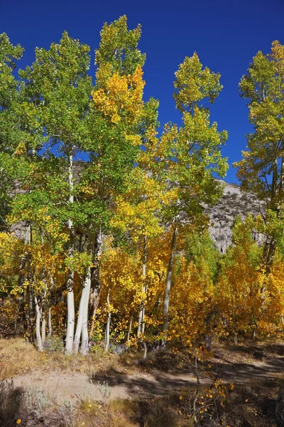The beautiful autumn landscape — Stock Photo, Image