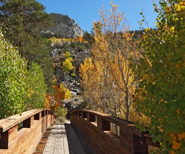 Uma ponte de madeira sobre um riacho de montanha — Fotografia de Stock