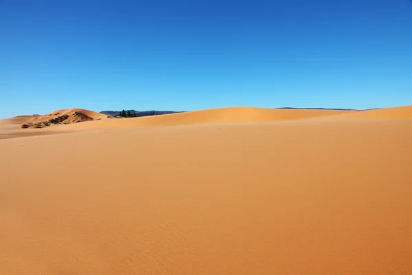 Geel zand en blauwe hemel — Stockfoto
