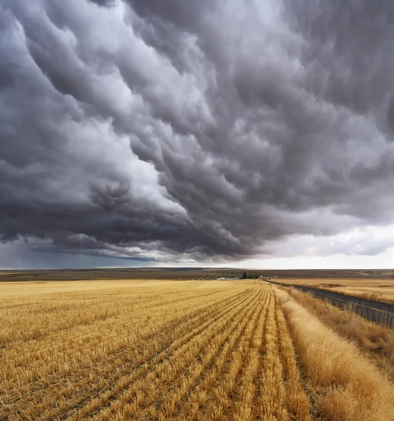 Nuvole di tuono. Montana, Stati Uniti — Foto Stock
