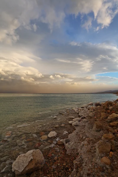 Wiosna nad Morzem Martwym, w Izraelu — Zdjęcie stockowe