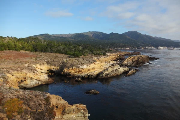 Riserva Point Lobos sulla California — Foto Stock