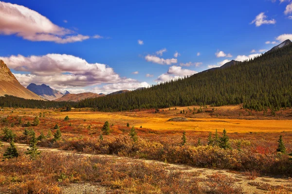 Steppe and mountains in the autumn. — Stock Photo, Image