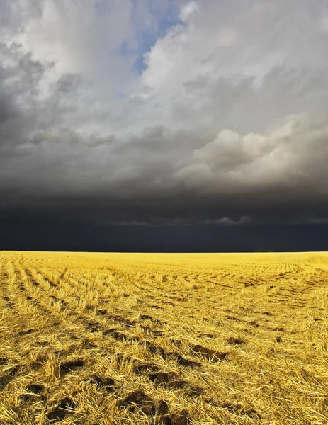 Comienza la tormenta en Montana — Foto de Stock
