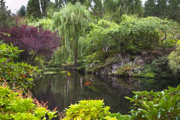 庭の池. — ストック写真