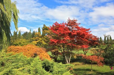 bir başyapıt - sigurta park Kuzey İtalya