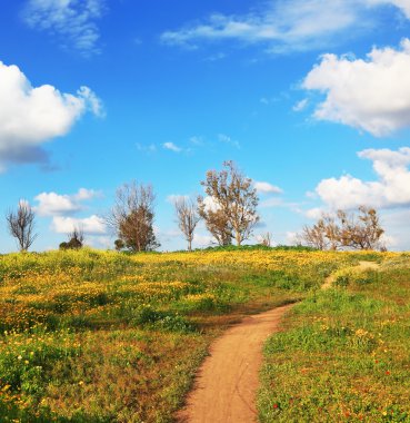 toprak yol alanlar arasında