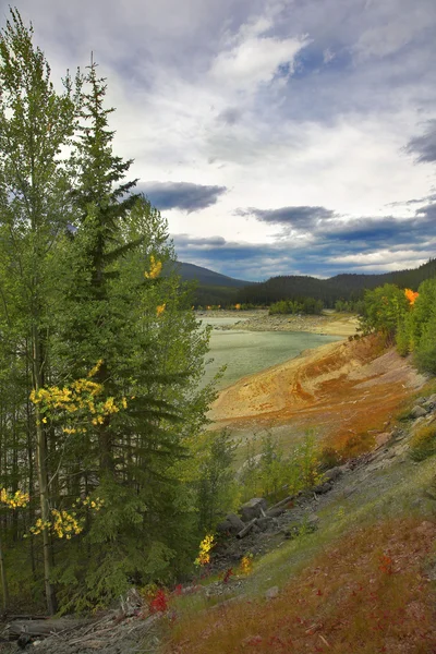 stock image Northern beauty.