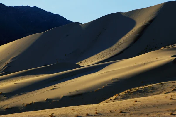 砂の上の朝トレース — ストック写真