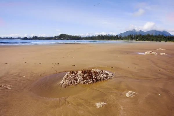 Malownicze wydmy piaszczyste wyspy vancouver — Zdjęcie stockowe