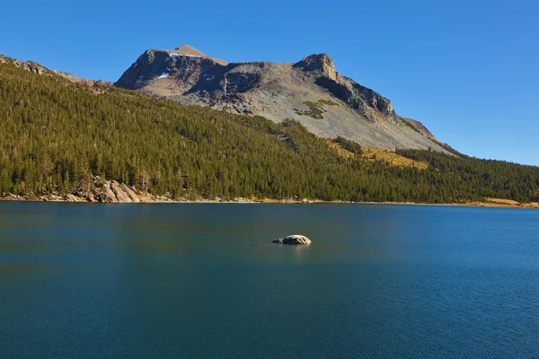 Na wybrzeżu dobrze ciemny niebieski jezioro tioga — Zdjęcie stockowe
