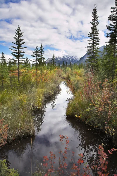 Hideg patak-hegység-Kanada — Stock Fotó