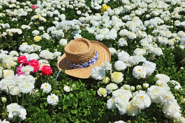 Der Hut und die Blumen — Stockfoto