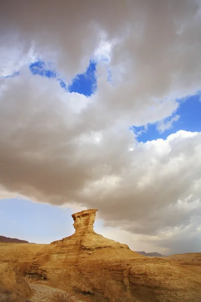 Kamienna pustynia. Wiosna nad Morzem Martwym — Zdjęcie stockowe