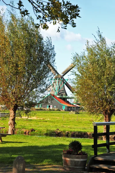 Hollanda yel değirmenleri ile küçük bir köy — Stok fotoğraf