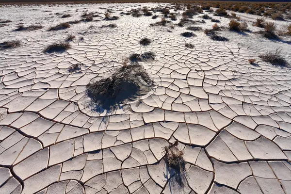 stock image The cracked dry ground