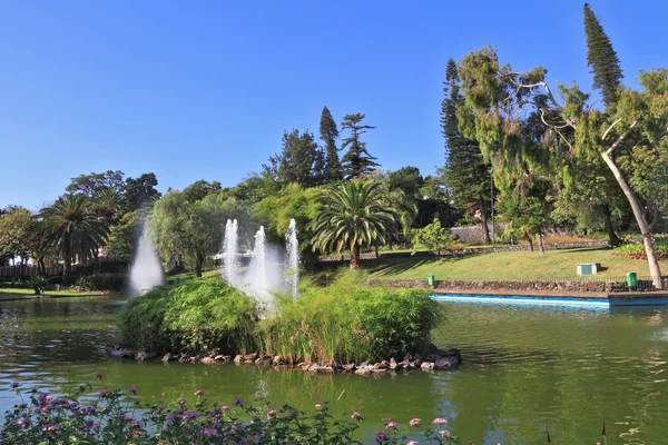 Picturesque lake with fountains — Stock Photo, Image