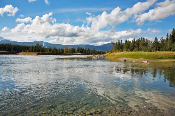 El río poco profundo en el parque Yellowstone — Foto de Stock