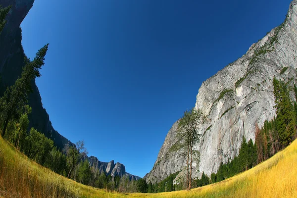 Splendida radura a valle Parco dello Yosemite — Foto Stock
