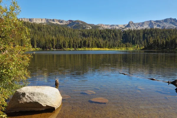 Uroczy płytkie jezioro z chwastów — Zdjęcie stockowe