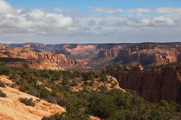 Monumento Navajo - un paesaggio maestoso — Foto Stock