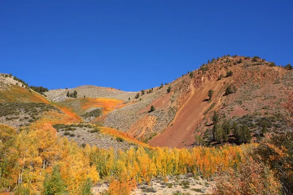 Prachtige geel, oranje en groene bergen — Stockfoto