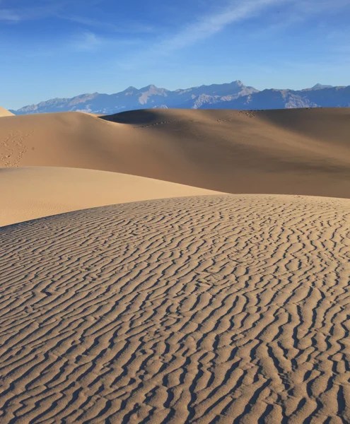 Cresta della duna — Foto Stock