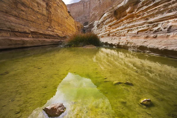 Bog in spectacular canyon — Stock Photo, Image
