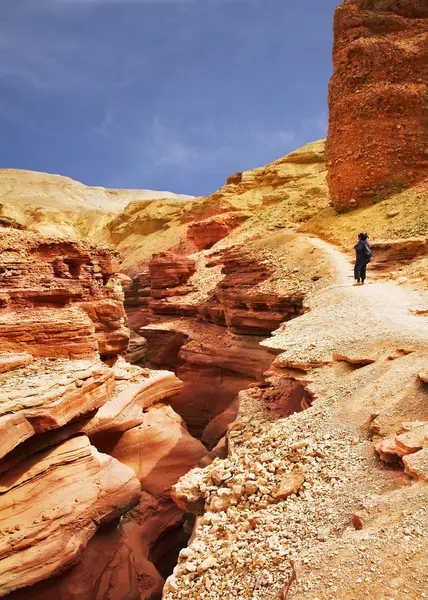 Spåra på kanten av den röda canyon — Stockfoto