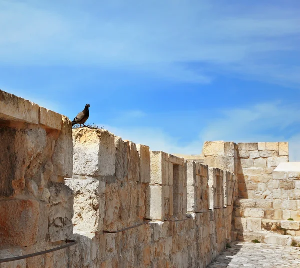 För fåglar väggen - en plats för vila — Stockfoto